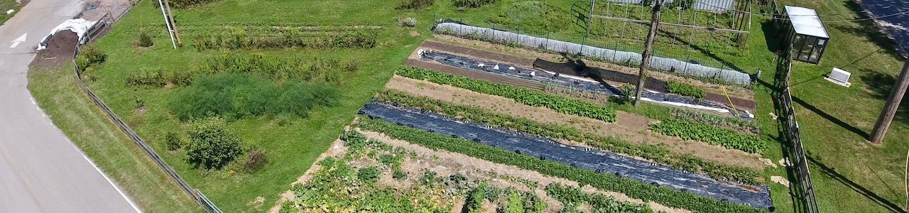 The Farm at Butler aerial view of rows of veggies