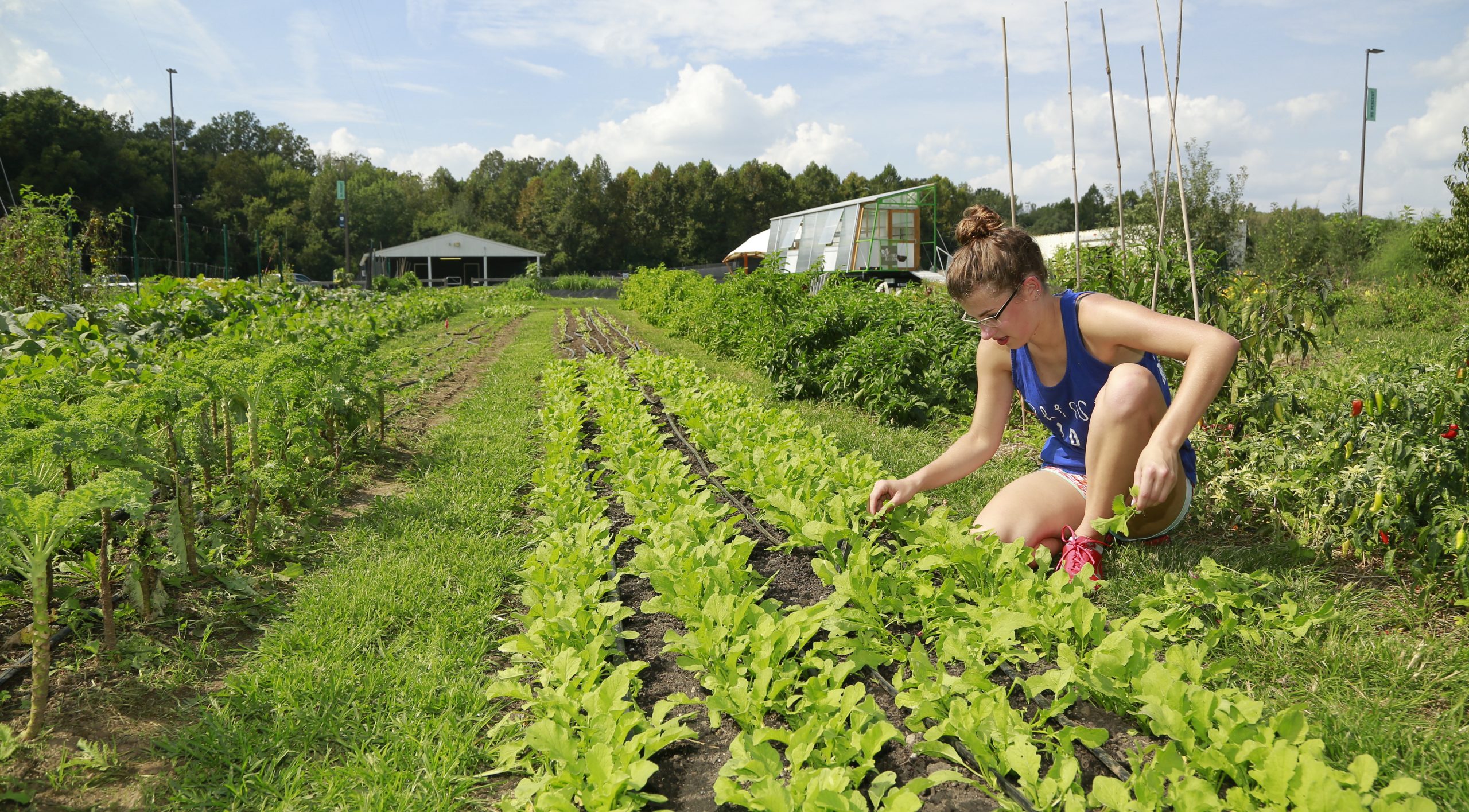 Marissa Byers at The Farm at Butler checking on some plants