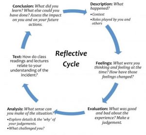Reflective cycle graphic