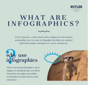 What are infographics? Infographic example