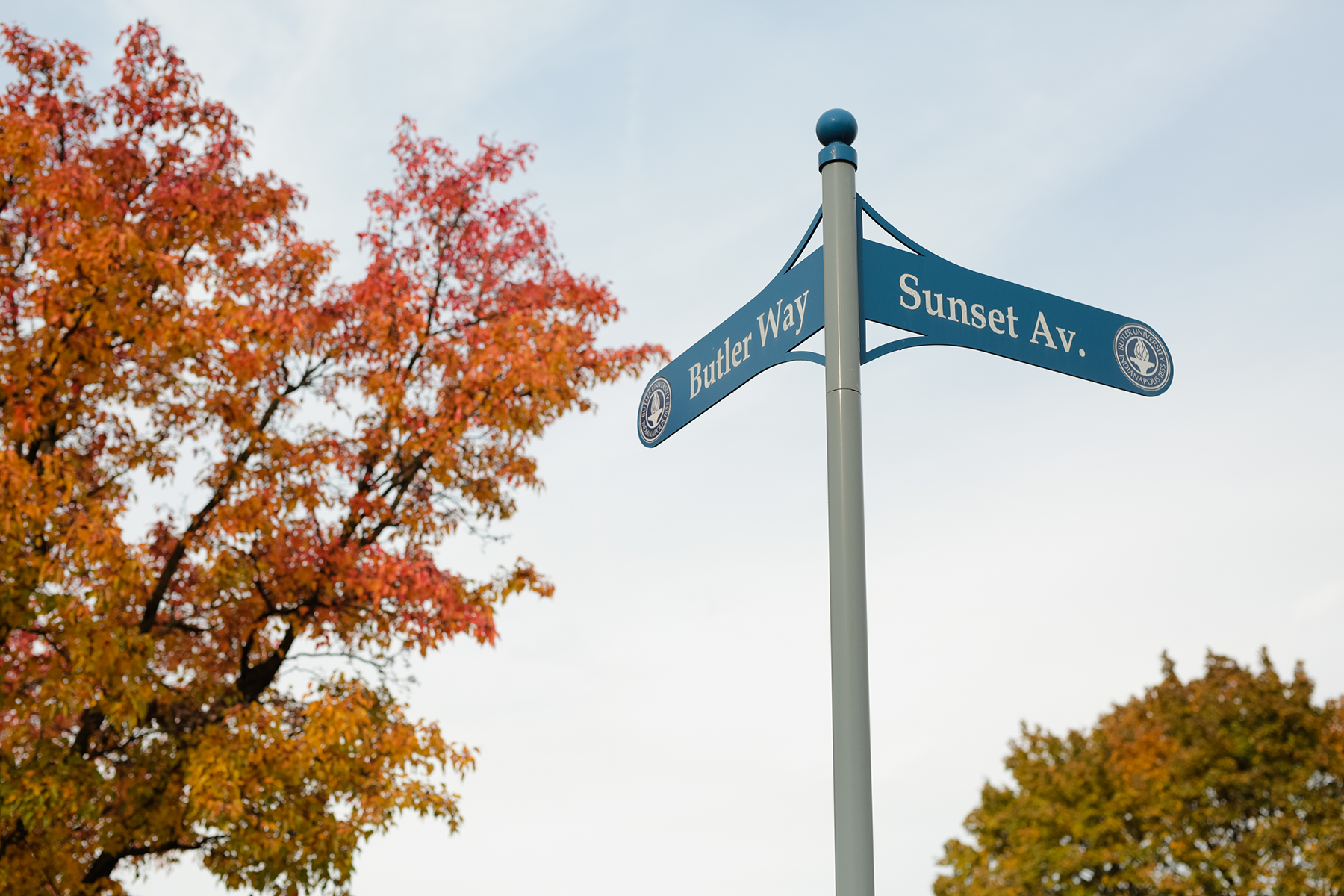 Butler way and Sunset Avenue signs in fall