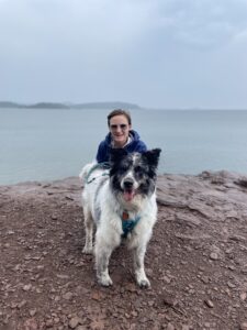 Person with a dog on the beach