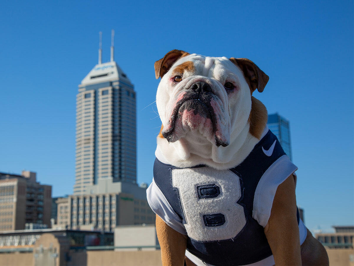Butler Blue in Indianapolis