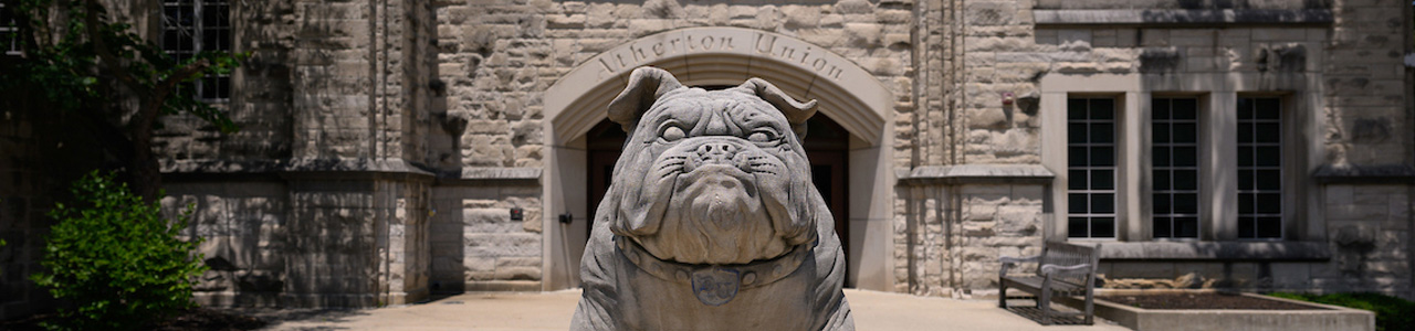 A bulldog statue
