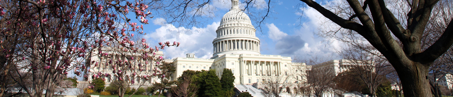U.S. Capitol photo