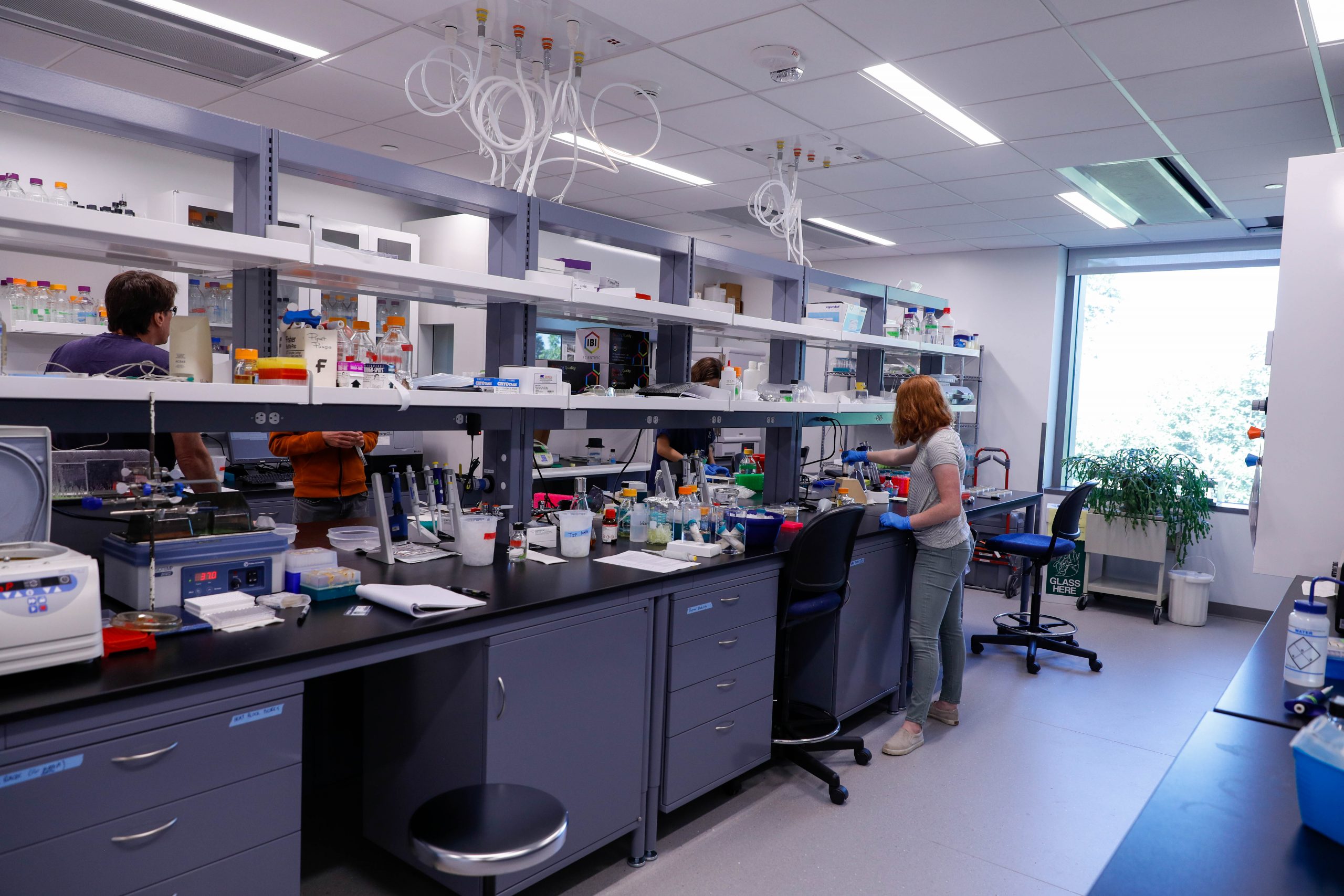 Students working in a laboratory in the new Sciences Complex