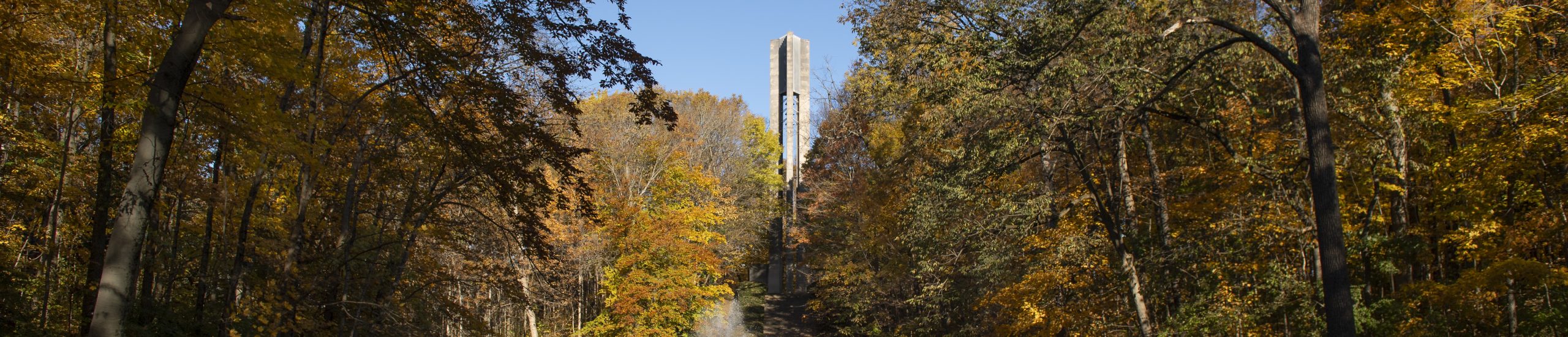 A photo of the Carillon in the distance, framed by trees.