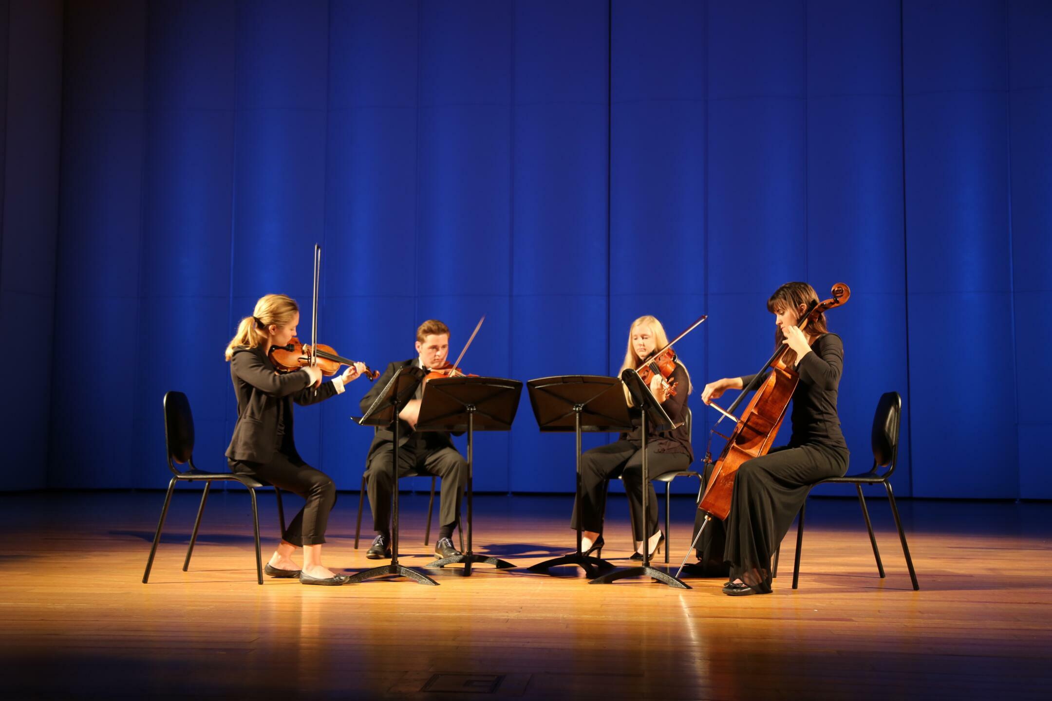 Small orchestra performing on stage