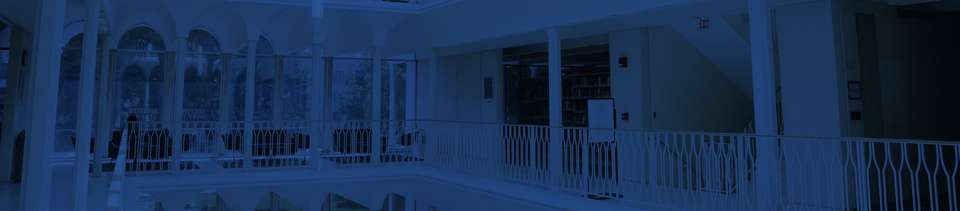 Second-floor railings of the Irwin Library, with a dark blue overlay across the photo.