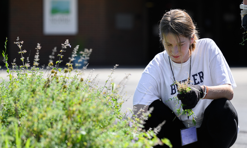 Butler female student in t-shirt and black pants weeding a plant