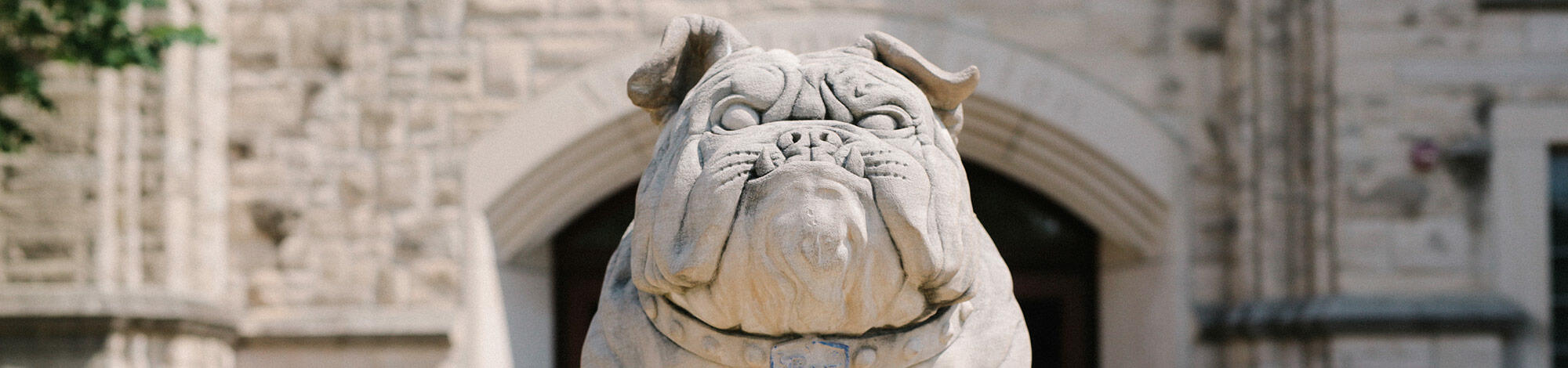 Bulldog statue