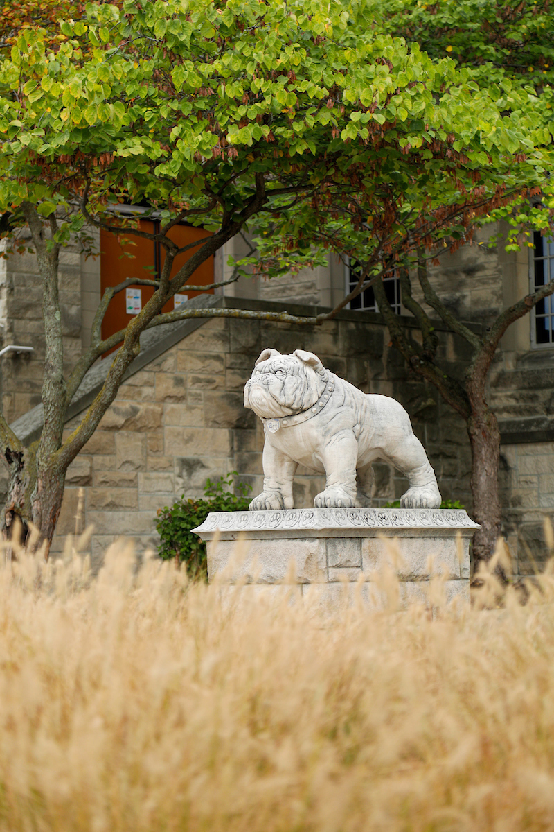 Bulldog statue in fall
